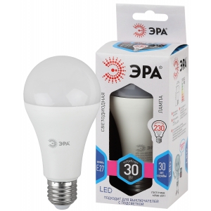 Лампа светодиодная ЭРА LED smd A65-30W-840-E27 (10)